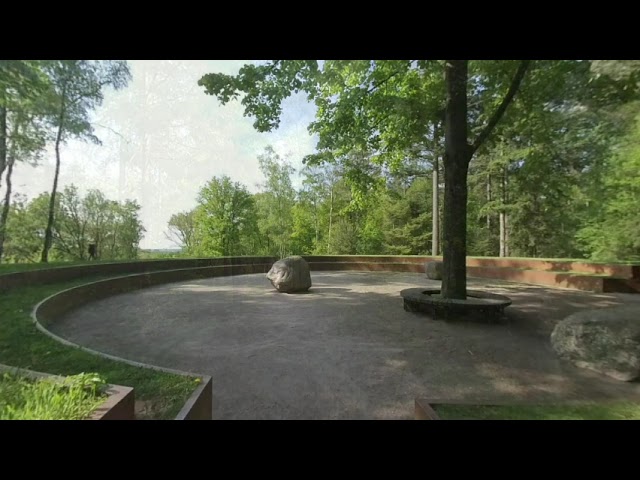 A hike in the forest - Uilenbos VR180