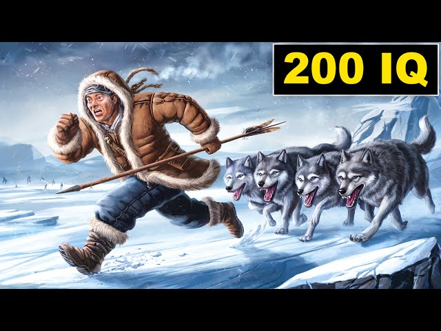 How Inuit Survive Wolf Attacks in the Arctic