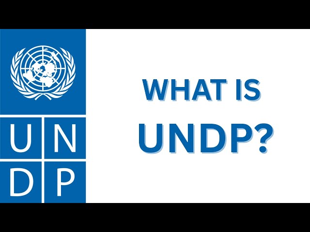 WHAT IS UNDP?