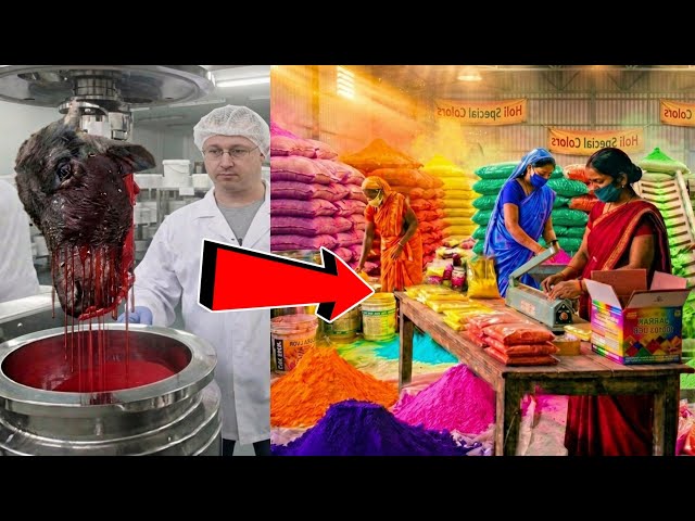 फैक्ट्री में गुलाल कैसे बनता है | Factory mein Gulal Kaise Banta hai | How gulal is made