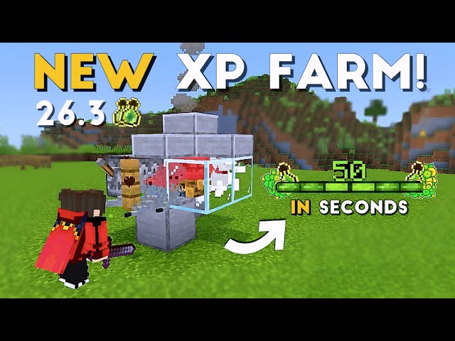 BEST NEW XP FARM Minecraft Java 26.3! | 0-50 Levels in a Few Seconds