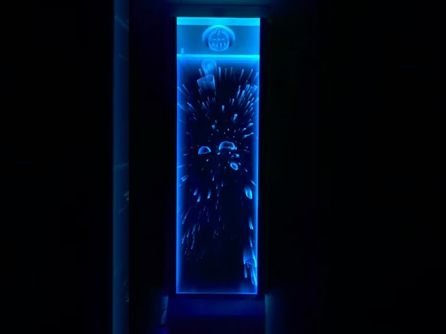 Multi Sensory Room Bubble Wall