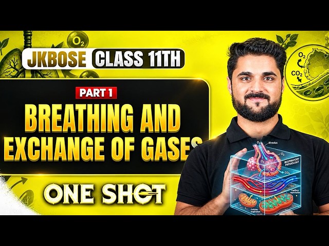 JKBOSE Class 11th Zoology | Breathing and Exchange of Gases (Part 1) | One Shot 🔥 | Davood Sir
