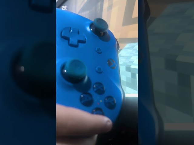 Playing minecraft java hardcore