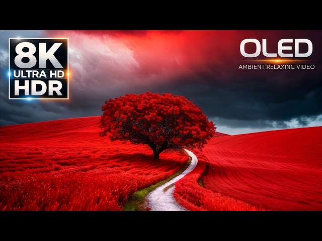 EXTREME COLOR DEPTH IN 16K HDR 120FPS | OLED TEST VIDEO (8K HDR 60fps)