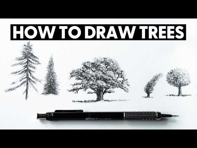 How to Draw Trees for BEGINNERS