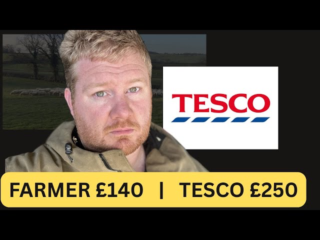 Is Tesco As Cheap As They Say? Farmer Breaks Down One Lamb