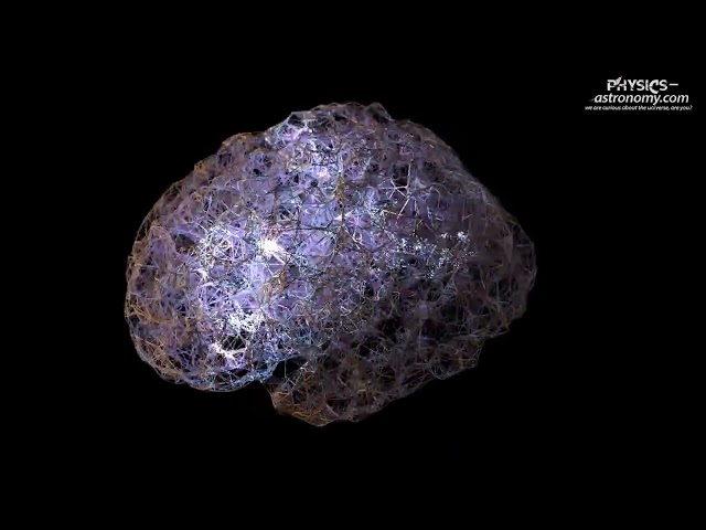 Groundbreaking Discovery: Human Brain builds structures in 11 dimensions