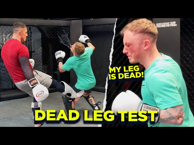 Gymnast Nile Wilson Facing My Leg kicks! | Dead Leg Challenge | Tom Aspinall