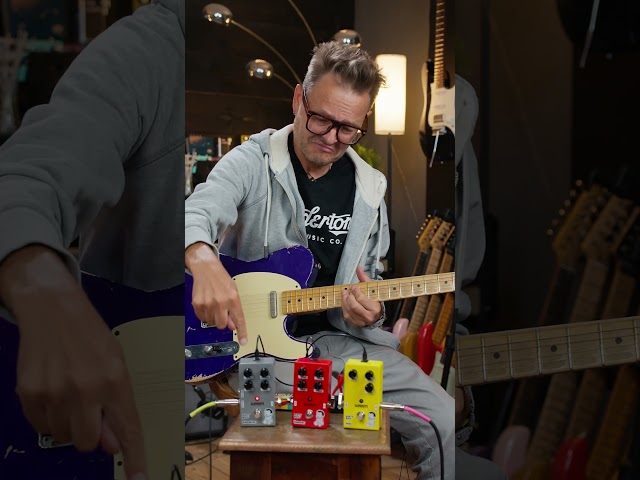 Warm Audio 🤝 Dirty Boy Pedals #shorts #fxpedals #dirtyboyjr