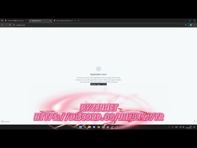 RyzenC2 Vs cargoson.com | DDOS BEST C2/BOTNET/API 2026 | L4 & L7 | BEST BYPASS