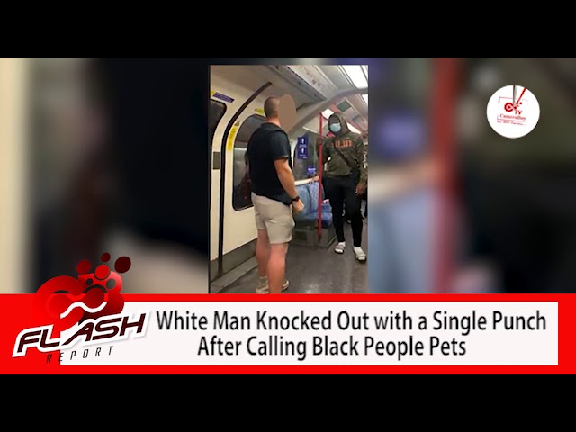 White Man Knocked Out With a Single Punch After Calling Black People ‘Pets’