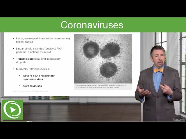 Severe Acute Respiratory Syndrome (SARS) and COVID-19 – Coronaviruses | Lecturio