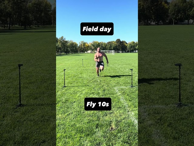 Field Day