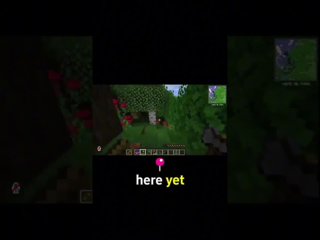 My Strategy  Find a Home Before Surviving