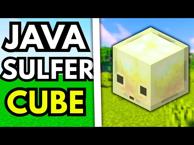 How To Use Sulfur Cube In Minecraft Java