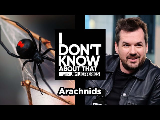 Arachnids | I Don't Know About That with Jim Jefferies #88