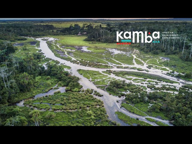 Kamba African Rainforest Experiences - Kamba Journeys