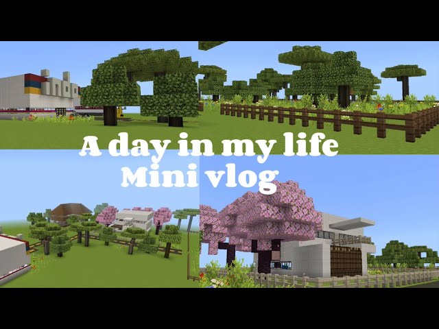 A day in my life