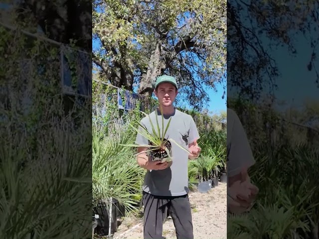Why Your Garden Takes Time