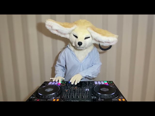 zara house set
