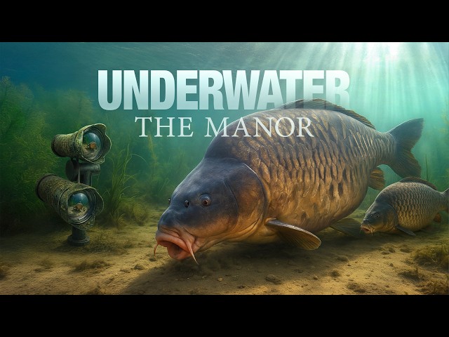Korda UNDERWATER - The Manor | Carp Fishing 2026