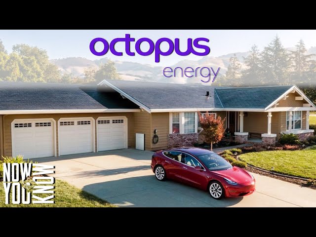 Can you get Paid to Charge your EV? | Octopus Energy