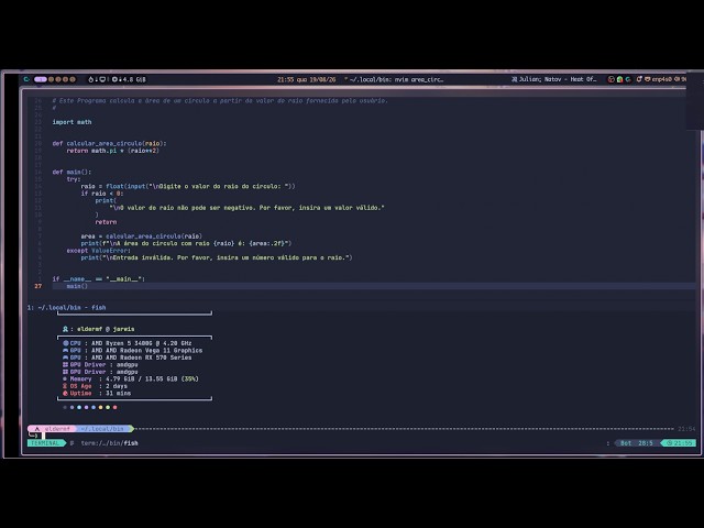 Programando com Nvim (LazyVim) em python/shell script.