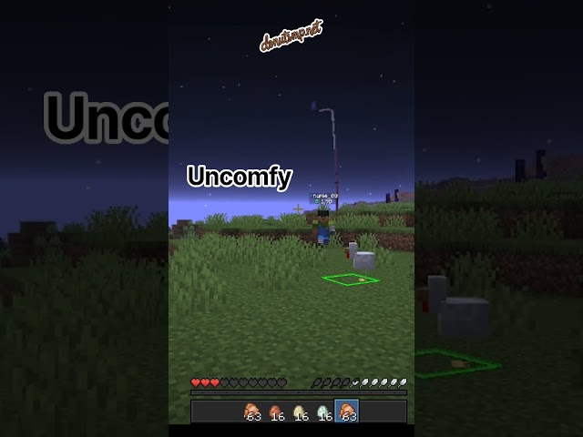 #donutsmp in a nutshell