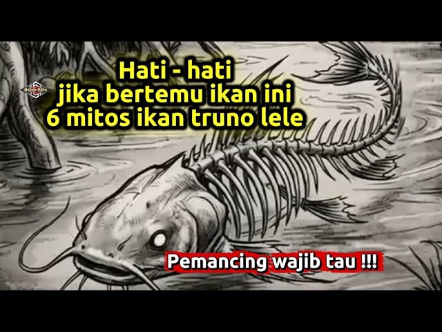 Creepy!!! 6 Myths About the Truno Catfish
