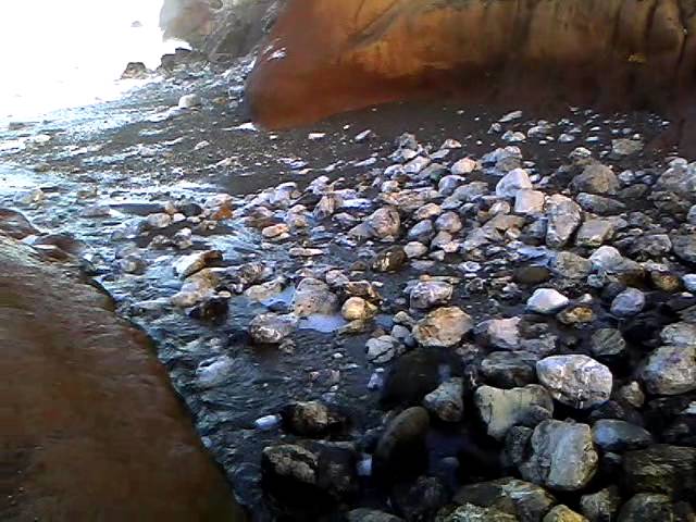 Pacifica Beach Field Trip Group 1