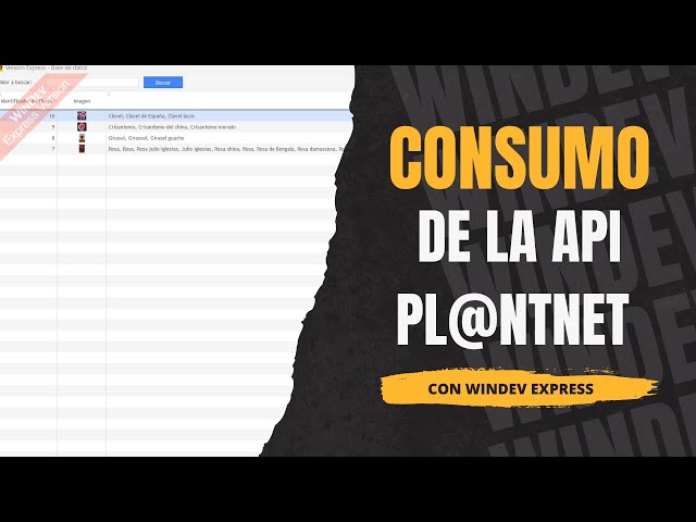 Consumo de la API Pl@ntNet en WinDev 🌺🔍 | Proyecto de Prueba y Aprendizaje