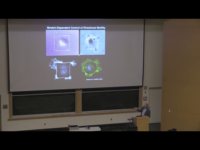 2018 Distinguished Lecture in Bioengineering - Dr. Donald Ingber