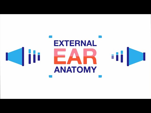 The Tiny Tunnel Leading Into Your Ear