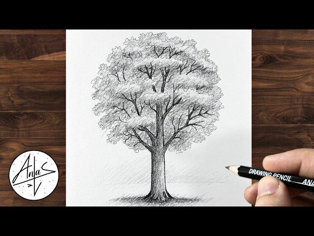 How to Draw a Realistic Tree with Pencil | Easy Tree Drawing for Beginners