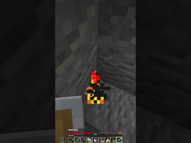 What an ending to a Hardcore Minecraft Series #minecraft #gaming #hardcore #fwhip