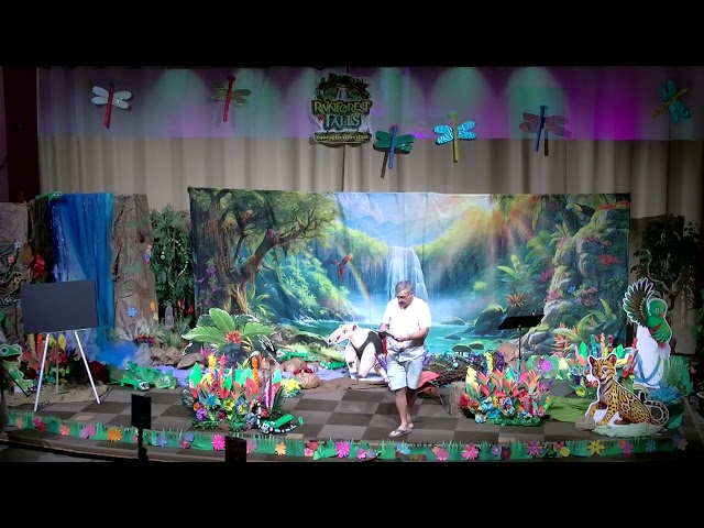 VBS skit day 5 Rainforest Falls