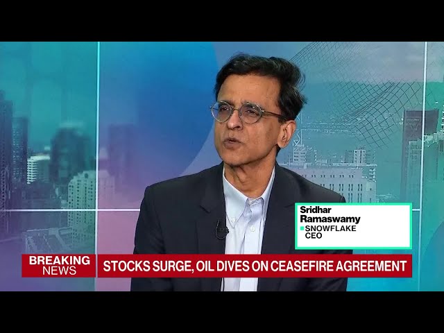 Snowflake Seeing Strong Return on AI Investment: CEO