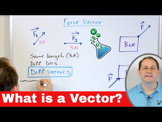 What is a Vector?  Definition & Examples in Physics