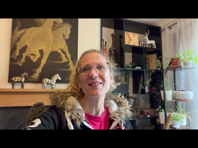 Member Update 2nd September 2026 - Interiors!  The bane of my life!