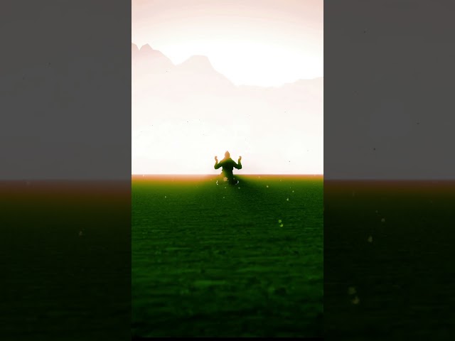 DRAGON | GTA 5