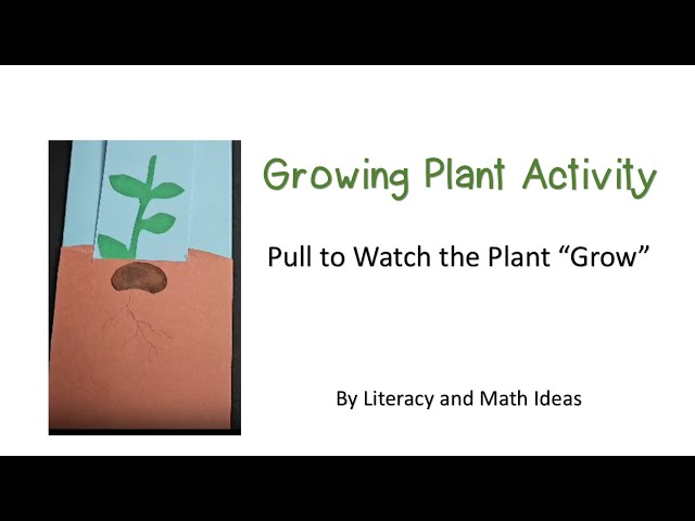 Seed "Growing" Craft
