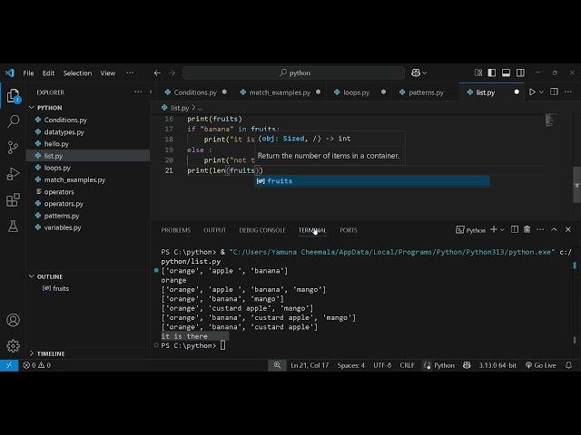 List operations in python
