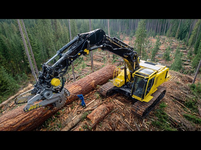 These Forestry Machines Work Like a Perfect System. Modern Logging Operations Documentary