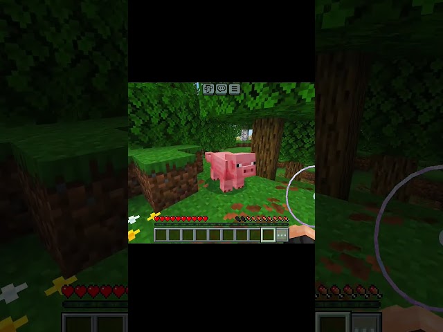 minecraft but different types of waystone