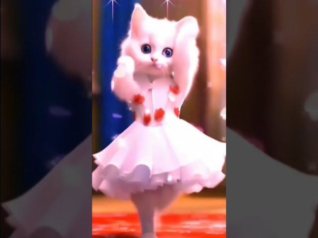 smart cat dance #cat #cute #velocityedit