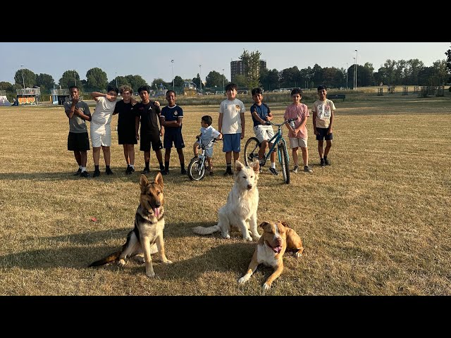     Off-Leash With Coba, Crugar & Caisar | Full Walk (3)