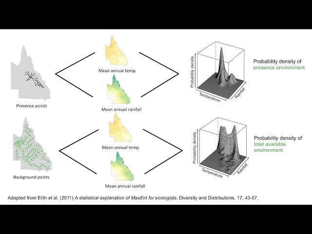 Maximum Information Entropy in Ecology