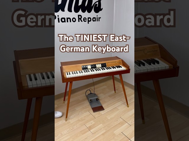 All the Germans tell me how tall you are⬇️ #electricpiano #shorts