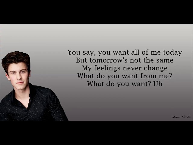 Shawn Mendes - Mutual (Lyrics)
